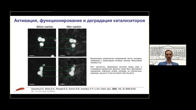 В.П. Анаников. Одноатомные (SAC) и наноразмерные каталитические системы смотреть онлайн