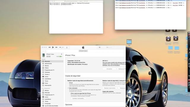 SHSH2 con Tsschecker смотреть онлайн