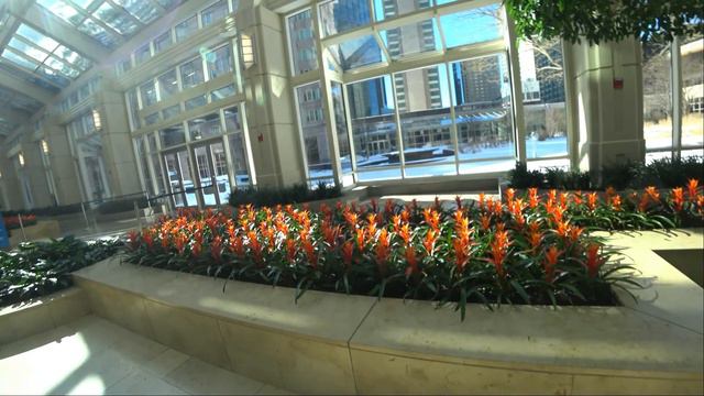 Зимний Бостон  и Prudential Center в фешенебельном районе Бэк-Бэй