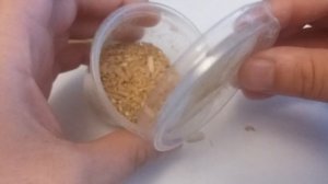 Как хранить опарышей в домашних условиях как хранить опарыша долго и правильно