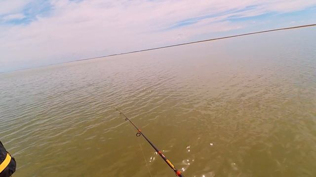 Под КИЛО окунь Черный КОЛОК лето 02 06 2017