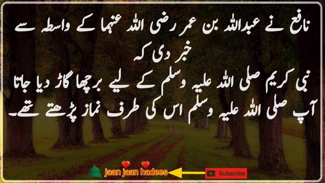 Hadees Urdu | Hadees e Pak | Deen ki Baatein | islam ki Baatein | HAZRAT Muhammadﷺ |Hazrat Muhammad смотреть онлайн