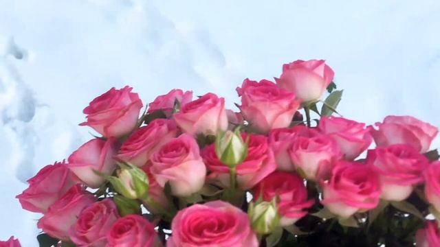 Букет из 19 кустовых роз смотреть онлайн