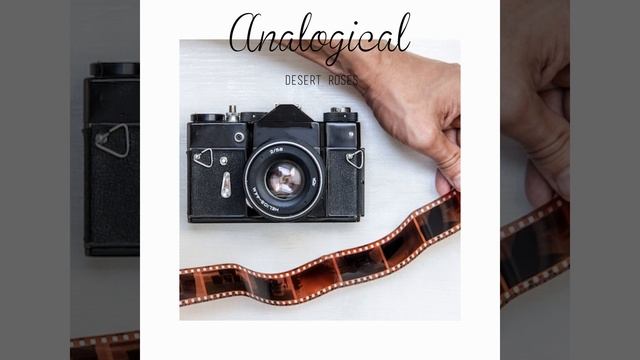 Afromeda смотреть онлайн