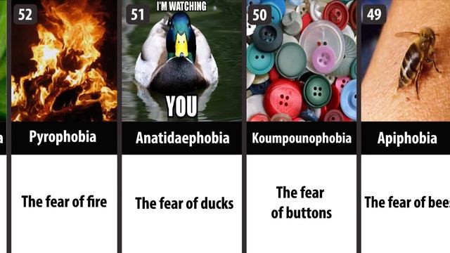Top 100 Phobias That You Have At Least 3 Of Them