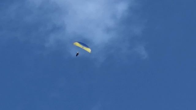 парапланы в небе