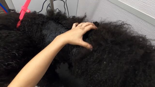 I freed a neglected dog from his matted prison | Rescue Doodle смотреть онлайн