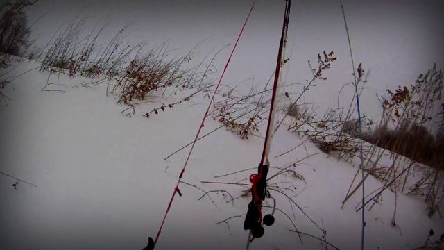 Берёзка-устье Чумыша смотреть онлайн