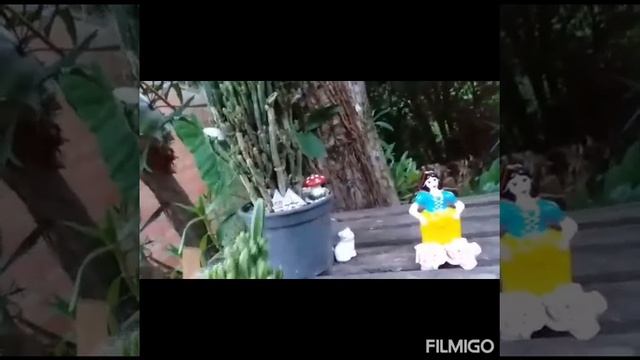 A origem do cacto (Acanthocereus Tetragonus)....... смотреть онлайн