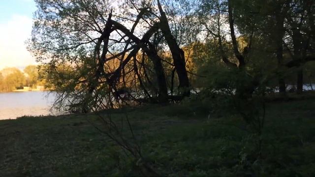 15 мая 2017 г. смотреть онлайн