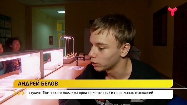 АБИЛИМПИКС ТЕСТ ДРАЙВ смотреть онлайн