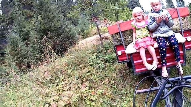 ГРИБЫ И ГРИБНИКИ//деревенские будни смотреть онлайн