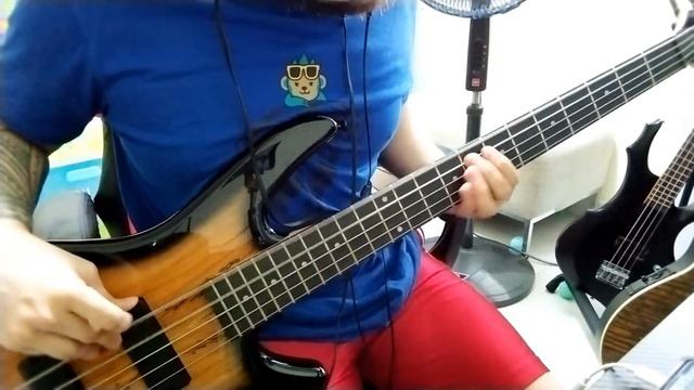 TAEYEON 태연 - Some Nights (Bass Cover) #TAEYEON #태연 #SomeNights #INVU смотреть онлайн