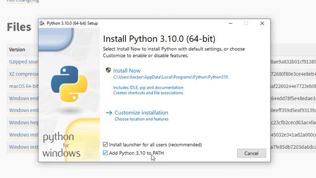 Como instalar Python 3.10 en Windows смотреть онлайн