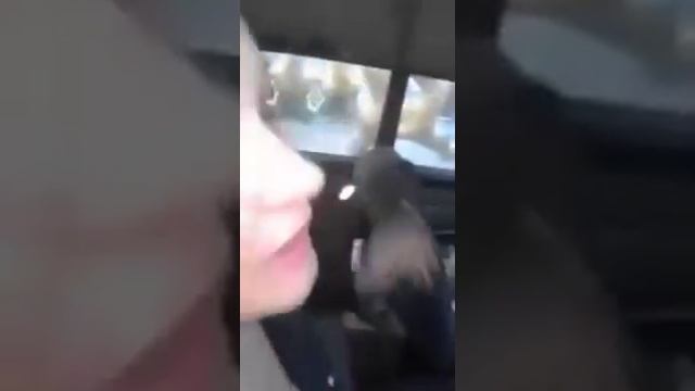 Автономная Печка в Машину Прикол смотреть онлайн