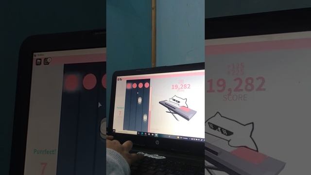 bongo cat (Roblox) смотреть онлайн