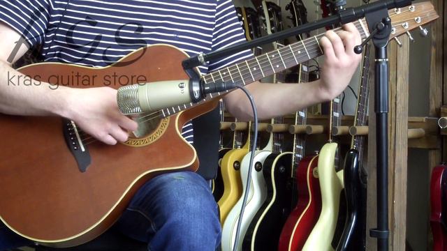 Aria Elecord FEA-10WA (акустическое звучание) смотреть онлайн