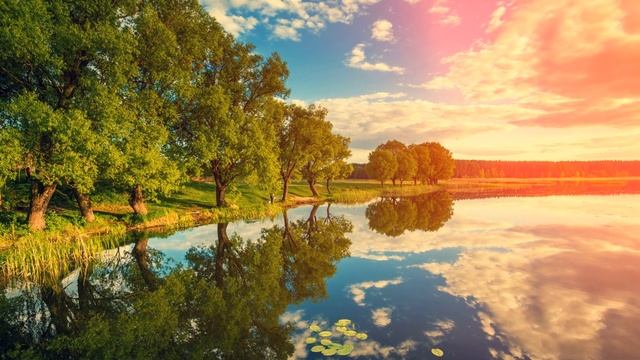 Несправедливость родителей: История девочки, брошенной мачехой смотреть онлайн