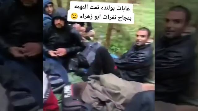 Мощный забор, которым так гордится Польша. смотреть онлайн