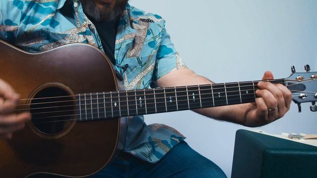 Sturgill Simpson Turtles All The Way Down Guitar Lesson + Tutorial смотреть онлайн