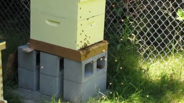 July 4 2011 Swarm смотреть онлайн