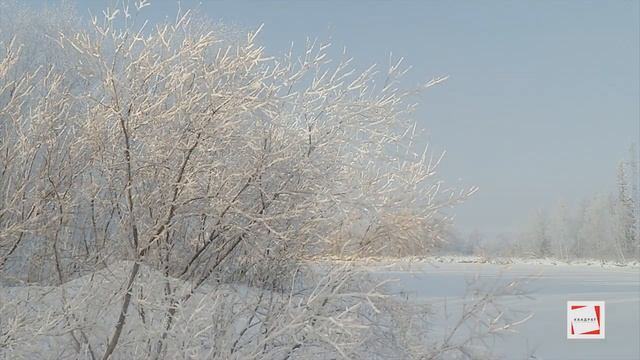 Зимняя природа в Белоярском смотреть онлайн