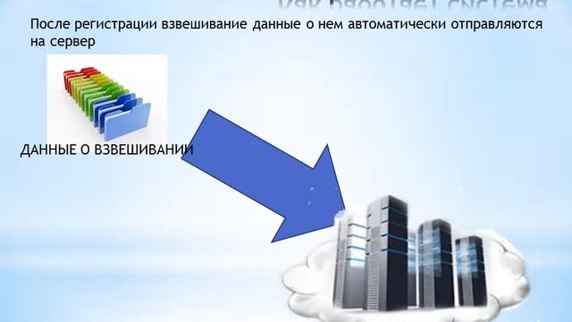 Scale Connect смотреть онлайн