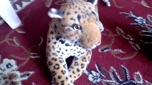 Как ухаживать за кошками . ЧАСТЬ 2 смотреть онлайн