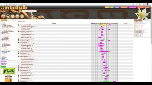Сервисы для успешной ловли маток: antmaps.org, antsmap.ru, antvid.org, antclub.ru/flight