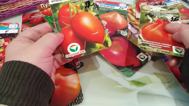 Томаты для ДЛИТЕЛЬНОГО хранения. Сорта и гибриды.Обсудим ВМЕСТЕ. Сибирский сад.Аэлита.Гавриш. смотреть онлайн