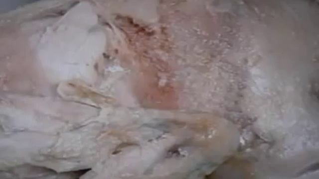 Как похудеть на 5 кг за одну неделю