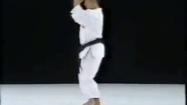 Шито-рю каратэ.Ката Дзиттэ.Jitte Shito Ryu смотреть онлайн