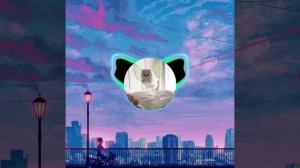 песня мужчина должен