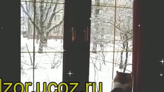 Эковетцентр смотреть онлайн