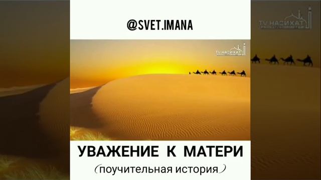 Уважение к матери смотреть онлайн