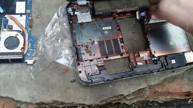 Тараканы в ноутбуке. Dell смотреть онлайн