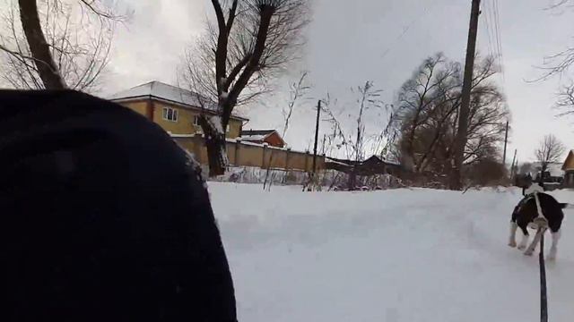 СТАФФОРД В ДЕЛЕ/СИЛА АМСТАФФА (типа упряжка 😆) смотреть онлайн