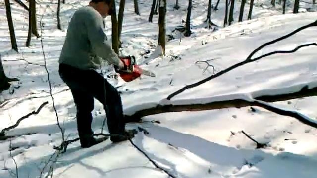 Зимний этюд в Шервудском лесу. 2011год смотреть онлайн