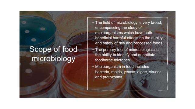 food microbiology | introduction | scope | sources of microbes in food смотреть онлайн