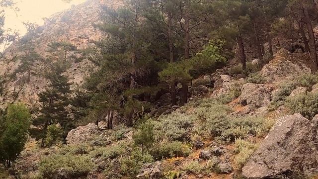 Agia Irini Gorge Crete смотреть онлайн