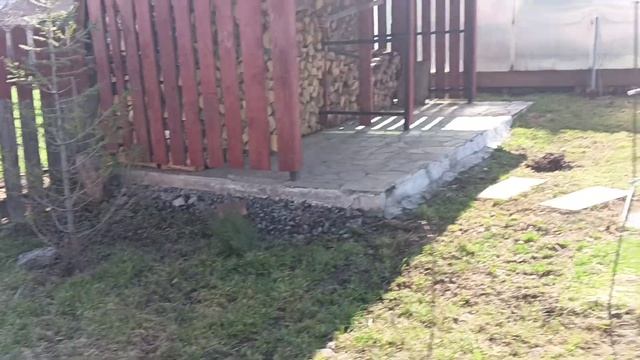 Планы на лето. смотреть онлайн