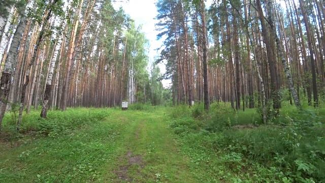 307. Железные звери на озере Линёво. Изменения на озере Данилово. Отвечаю на комментарии. Окунево. смотреть онлайн