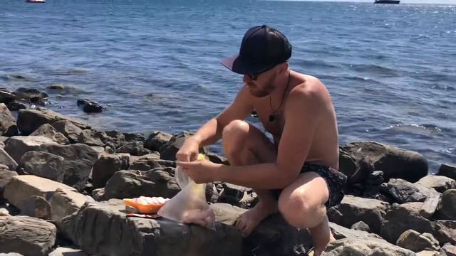 Куриные крылышки «Блэк» на Чёрном море | Анапа, Большой утриш смотреть онлайн