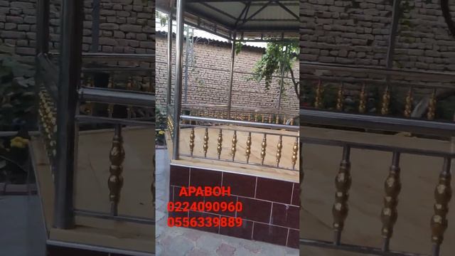 29 июля 2022 г.