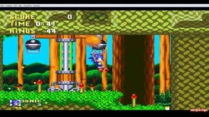 Как включить DebugMode  в игре SonicTheHedgehog 3
