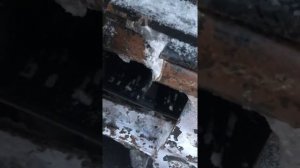 Мотобуксировщик щёлканье цепи!