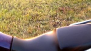 Отзыв владельца Yamaha Fazer 250 (YS250, YBR250,  Баклажан) лучше, чем YBR 125?!