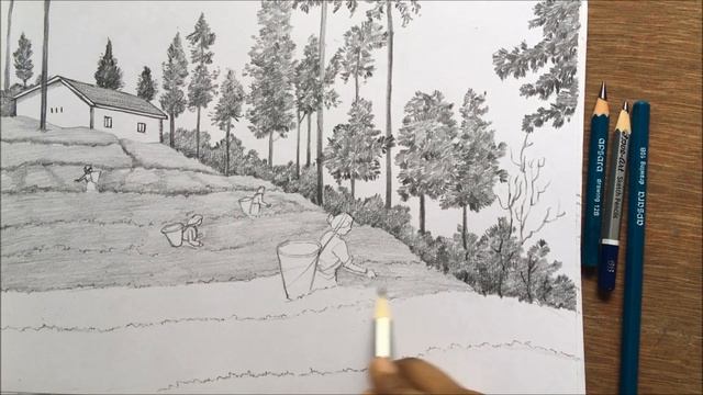 Tea garden drawing in pencil | pencil sketch | scenery drawing in pencil смотреть онлайн