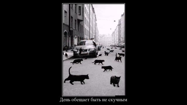 Новая подборка демотиваторов для взрослых июль 2016 выпуск #4