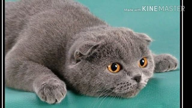 Как очистить память на телефоне смотреть онлайн